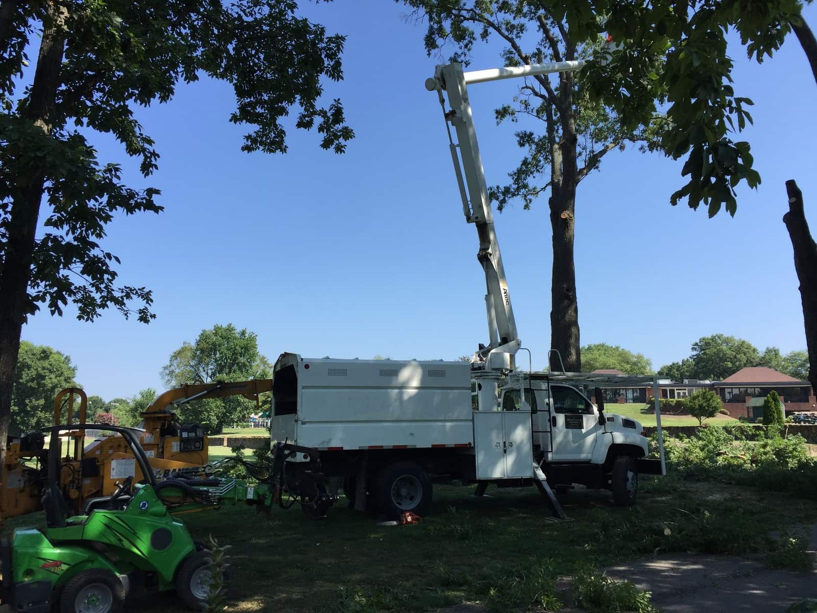 Higher Caliber Tree Service crew on a job