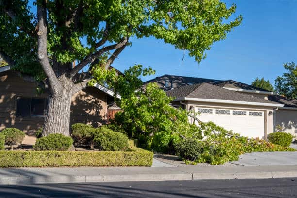 Team removing fallen storm-damaged trees from property